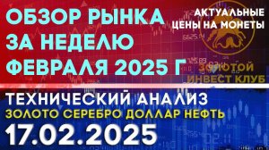 Обзор рынка за неделю февраля 2025 г. Анализ рынка золота, серебра, нефти, доллара 17.02.2025 г