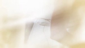 Футажи - Фон - Свадебная фата невесты - MP4 16 : 9