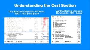 Crops Economic Report