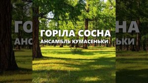 Горіла сосна