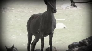 ⭐️ Сегодня мы отдаем дань глубокого уважения бессмертному подвигу воинов-освободителей