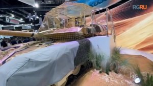 Российскую современную военную технику показали на выставке IDEX-2025 в Абу-Даби