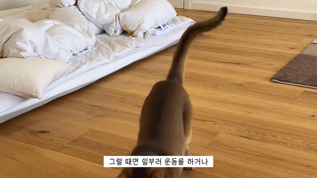“직장인 6년, 백수는 처음” 28살에 백수가 되고 느낀 것들