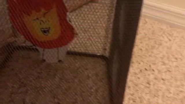 BFB Plush Battle 5: The missing host? смотреть онлайн