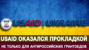 USAID оказался прокладкой не только для антироссийских грантоедов