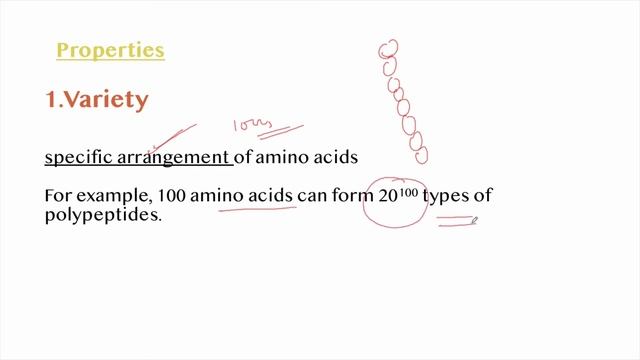 Biology Class 11 Proteins Full Chapter #NEET #ExploreWithKirti смотреть онлайн