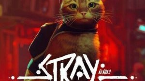Stray 15 – Только вперёд, без оглядки