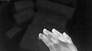 Тепловизор с Алиэкспресс iRay P2 Pro чувствительность