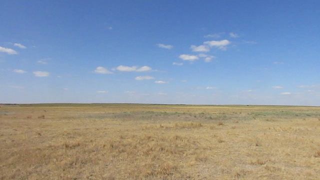 Исчезнувший посёлок Новое Трудовое (Соцстройка), Ершовский район (панорама).