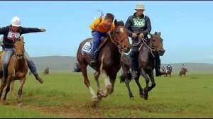 Different Theory - Төрмандах - Торгон хул