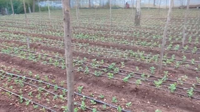 22 July 2022 смотреть онлайн