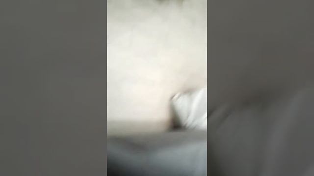 Рук тур по папе найти квартире смотреть онлайн