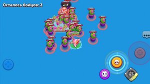 помогите кактусы сошли с сума