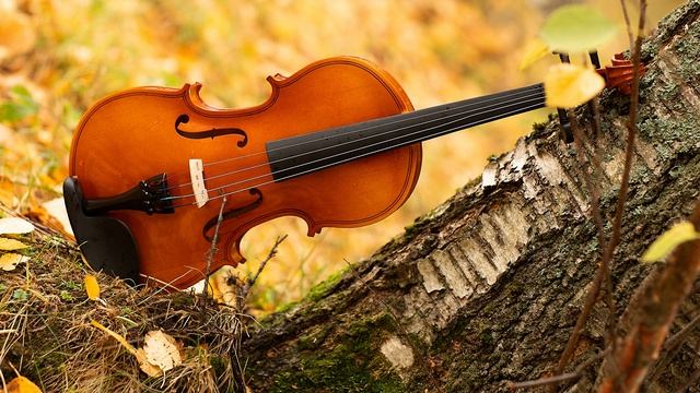 Скрипка музыка. Современная скрипка. Спокойная скрипка. Грустная скрипка. Классическая музыка