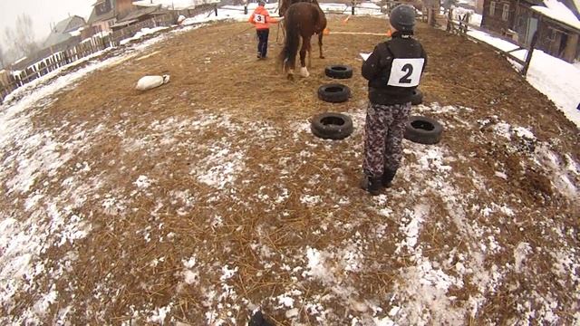 2017-03-25 Новоселы Аджилити Бавария-Ольга смотреть онлайн