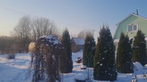 ДАЧА🏡 ФЕВРАЛЬ❄️ СОЛНЕЧНАЯ ТИХАЯ ПОГОДА🌞ПРИЯТНАЯ ПРОГУЛКА ПО ЗИМНЕМУ САДУ!