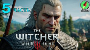 The Witcher 3: Wild Hunt - Прохождение Игры на Русском | часть 5