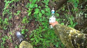 Рыбалка в Башкирии.Ловля карася на поплавок.1 июня 2018г.