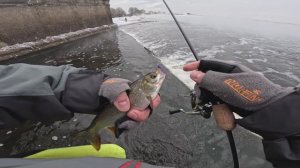 Этот Рыб, веселит рыбалку. Ловля в Мороз. Спиннинг зимой. Февраль 2025.