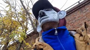 штрэбух торгуется на барахолке #3