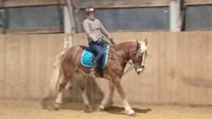 Анна и Каспер, Даша и Наоми. Тренировка с комментариями. #horse #equestrian #лошади #pony