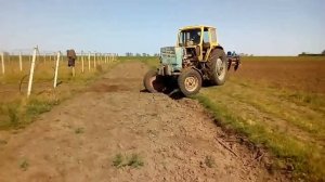 Дисковка виноградника