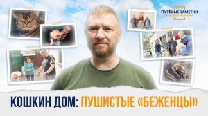 Кошкин дом: пушистые «беженцы» – «ПутЁвые заметки». Выпуск №43.