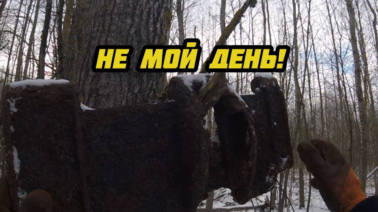 День пошел не по плану.