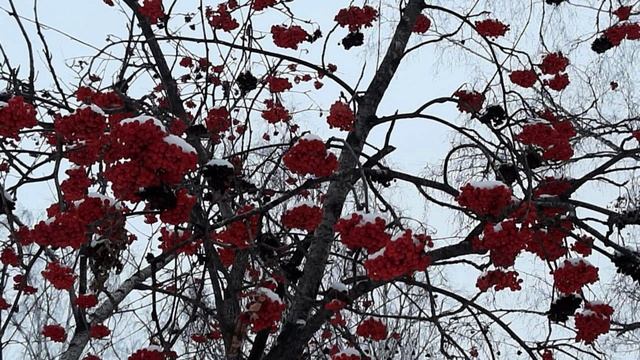 Как встретить настоящего мужчину смотреть онлайн