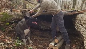 ХАКАН SOLO SURVIVAL CAMPING In RAIN; Building SECRET DUGOUT Inside Fallen TREE.