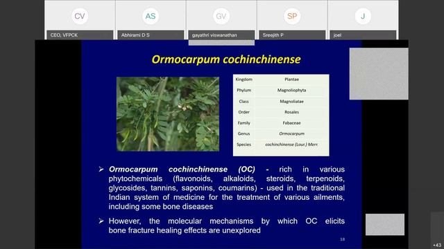 Phytotherapy for Bone Fractures | Dr. R. Ilangovan