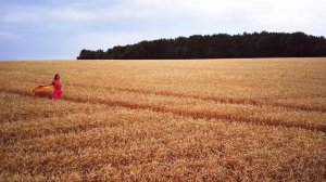 Оранжевое лето