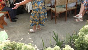 Воронежская область, Рамонский район, Русская Гвоздёвка.