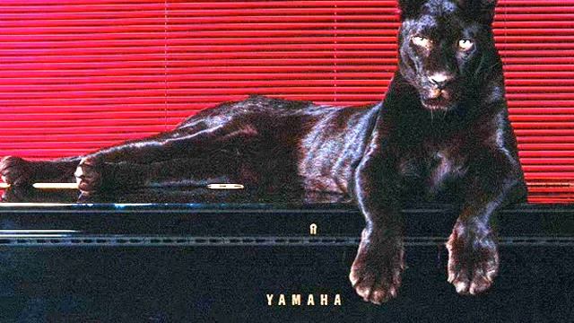 A Sunny Day-ERO DJ(ERYK) remix смотреть онлайн