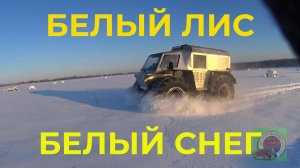 Катаемся На Вездеходе Белый Лис по Заснеженным Полям
