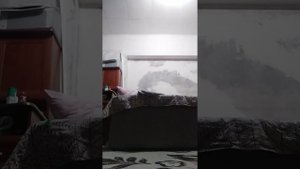 VID_20230226_213236.mp4