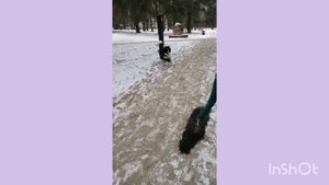 Рандогс Ес'м Царь с меховушкой