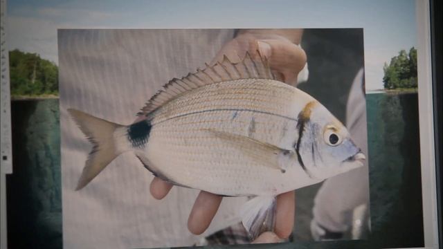 Erik Johansson - Generation 7 смотреть онлайн