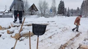 Приехали детки ,распилили дрова.