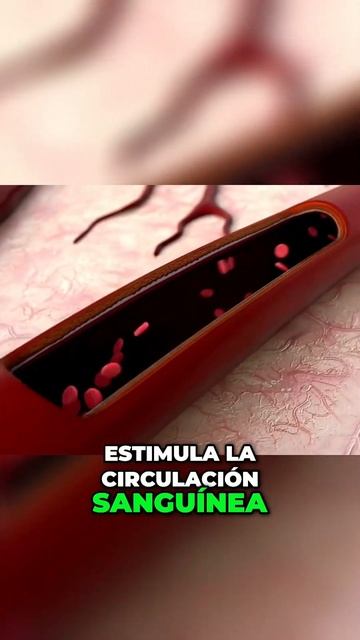 Los beneficios del 'eucalipto'_ Antiviral, Circulación y Relajación Muscular #medicinal смотреть онлайн