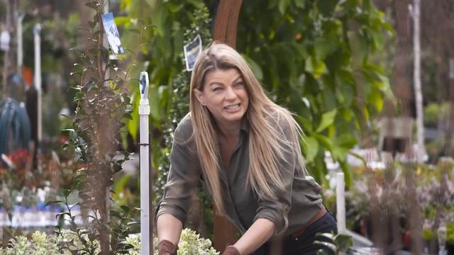 The Garden Gurus - Looking after your potted Azaleas and Camellias смотреть онлайн