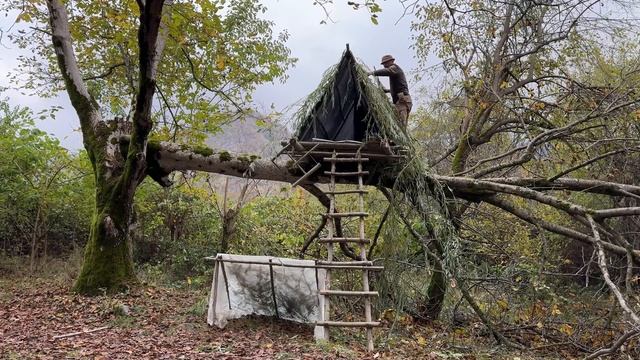 Как сделать убежище для выживания в лесу на дереве в одиночку