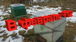 Профессор Кашковский: В феврале ожидается потепление, завтра +12, что делать?