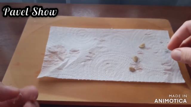 Опыт с  косточками Лимона 🍋