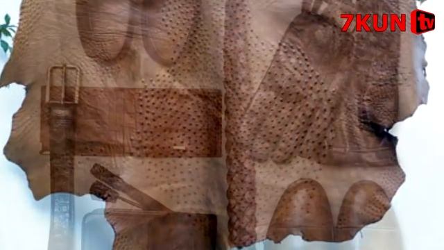 Ўзбекистонда Туяқуш Терисидан Тайёрланган Поябзаллар
