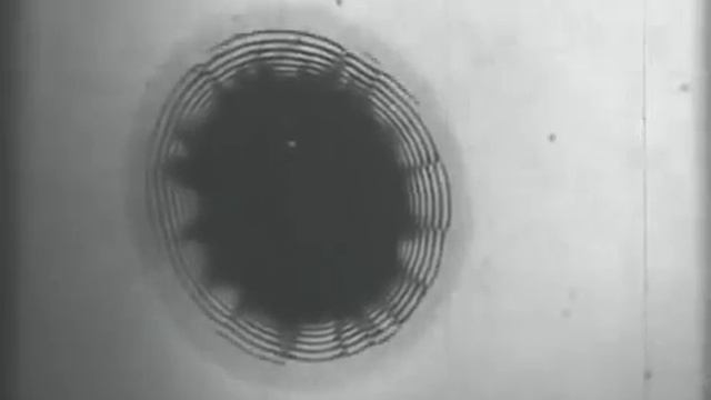 Что такое коллоидные частицы. Понятие коллоидов. Коллоидные растворы. смотреть онлайн