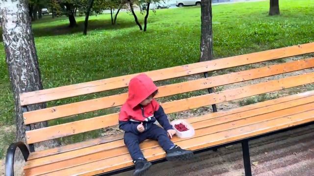 Ест Малину на Площадке/Гарри/лето 21 смотреть онлайн