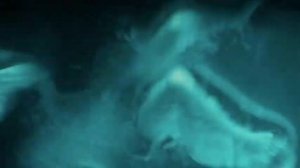 TV1000 Action new promo