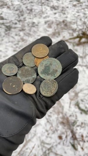 Руку Выбил. Вот это мы покопали         #поисквлесу #metaldetecting