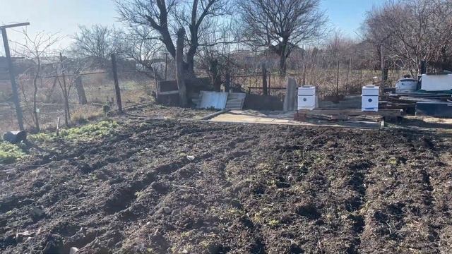 На Кубань пришла весна в конце января.Пчелы старновали. Весенние работы на пасеке.